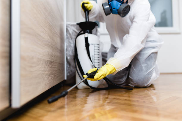 Best Termite Control Services  in Fern Park, FL