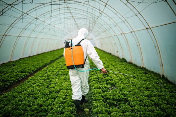 Trusted Fern Park, FL Pest Control Experts