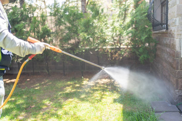 Best Pest Prevention Services  in Fern Park, FL