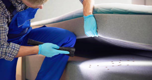 Best Wasp Removal Services  in Fern Park, FL