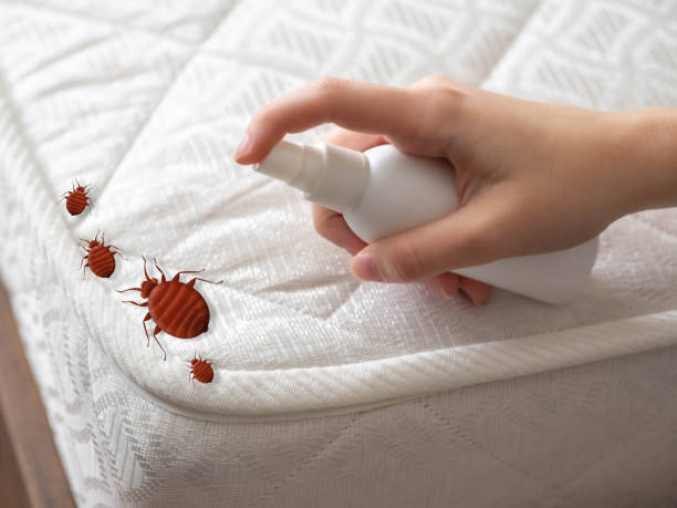 Best Best Pest Control Companies  in Fern Park, FL